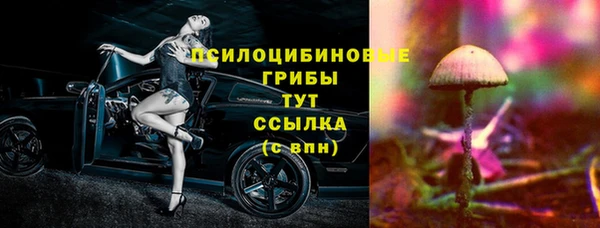 марки lsd Бородино
