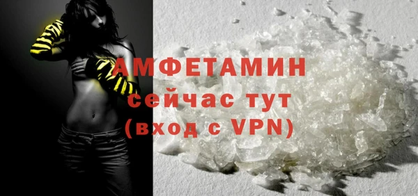 молекула духа Пересвет